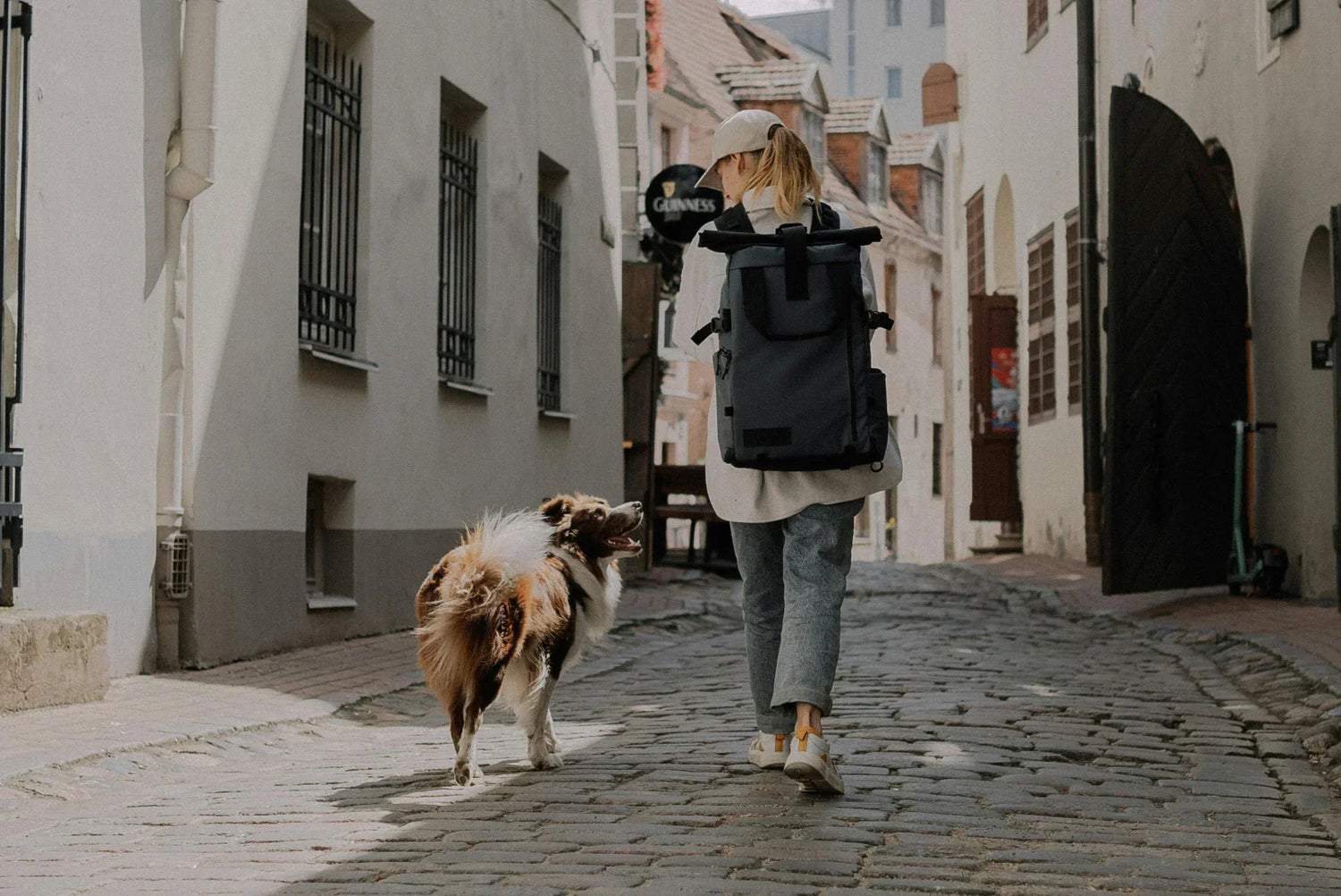 Leben mit Hund in der Stadt: Routinen, Rücksicht & Lebensqualität