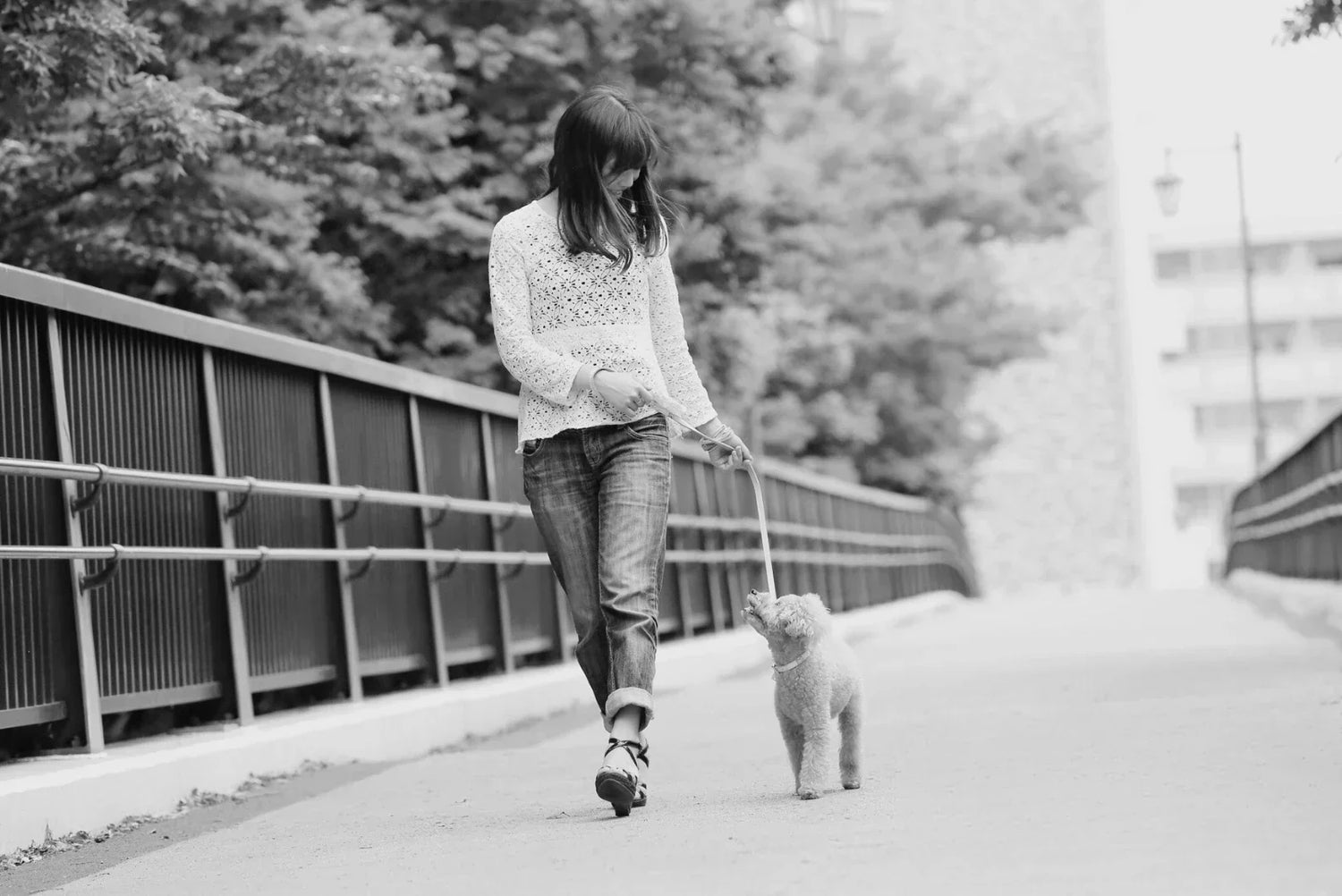 Sicherer Welpen-Spaziergang an kurzer Leine auf ruhigem Weg – Blickkontakt zum Menschen