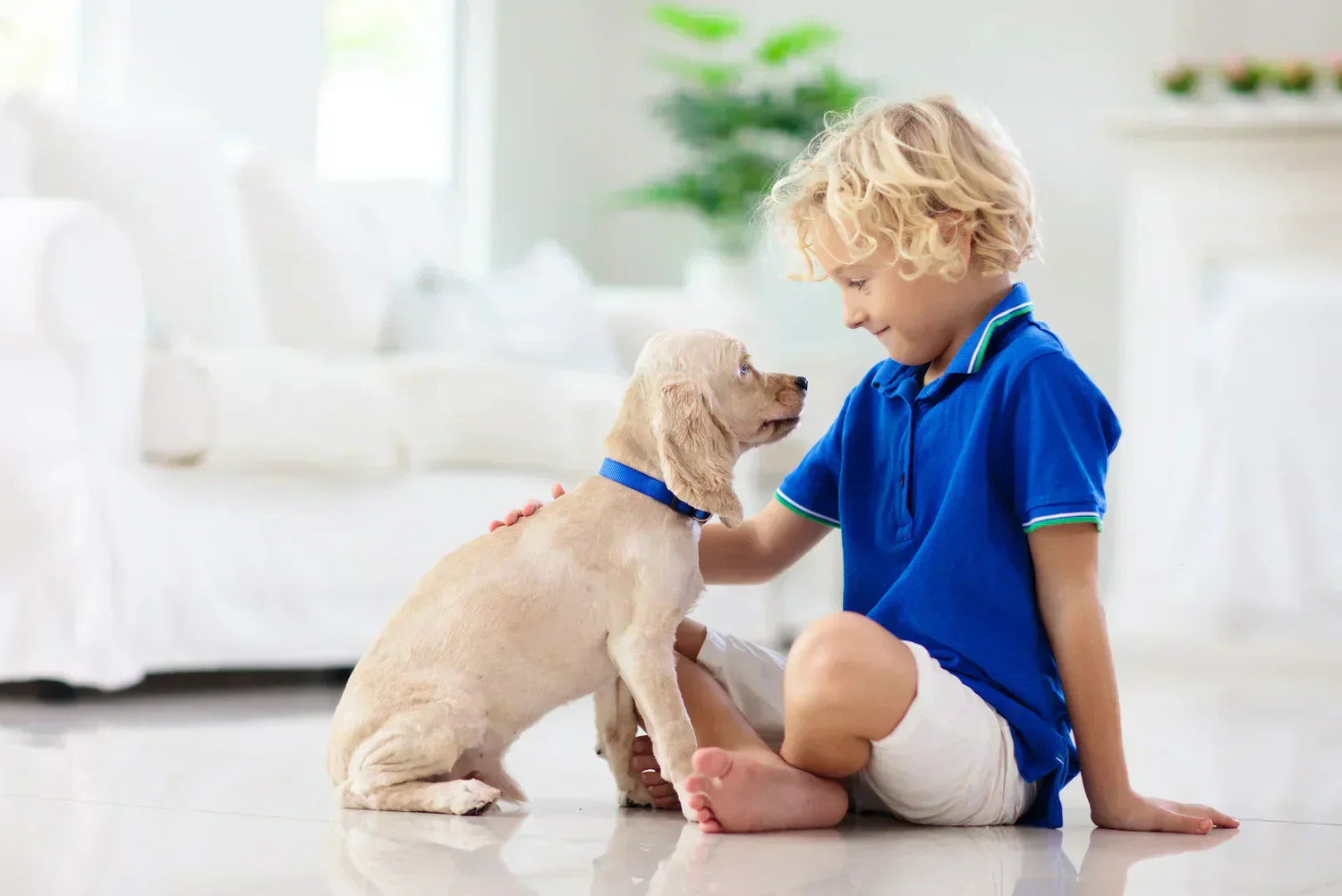 Kleiner Junge sitzt im Wohnzimmer und streichelt einen Welpen – harmonisches Aufwachsen von Kindern mit Hunden.