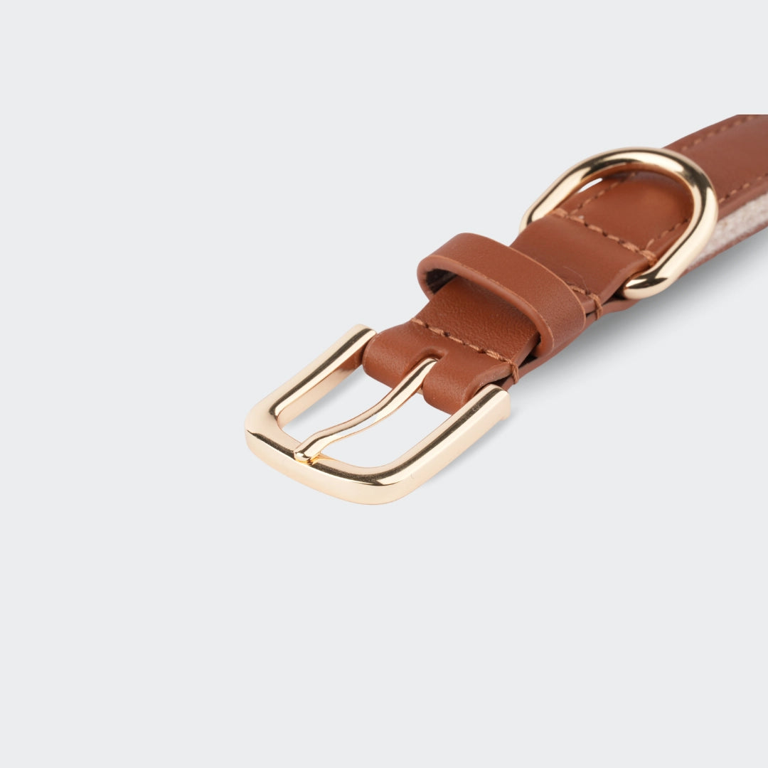 Nahaufnahme der goldenen Metallschnalle eines hellbraunen Hundehalsbands aus echtem Rindsleder.