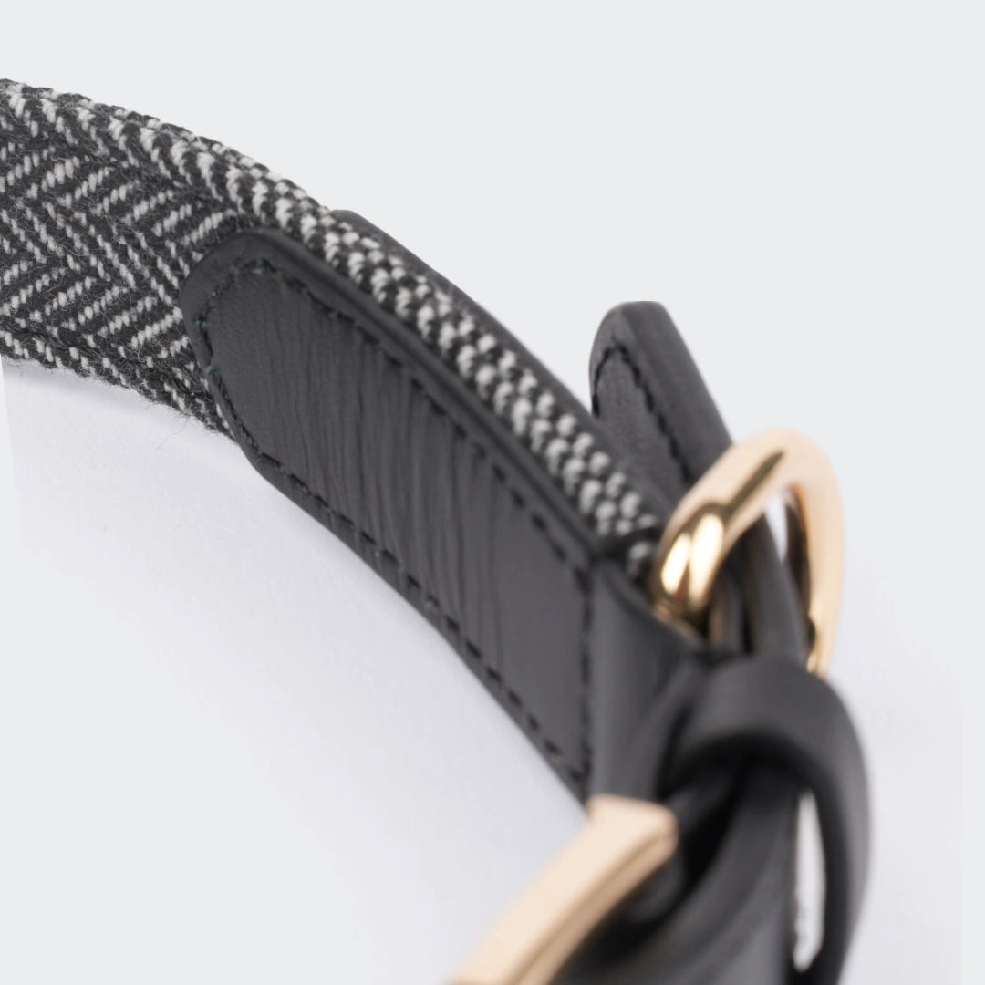 Nahaufnahme des schwarzen Hundehalsbands mit Fischgrätstoff und goldener D-Ring-Schnalle