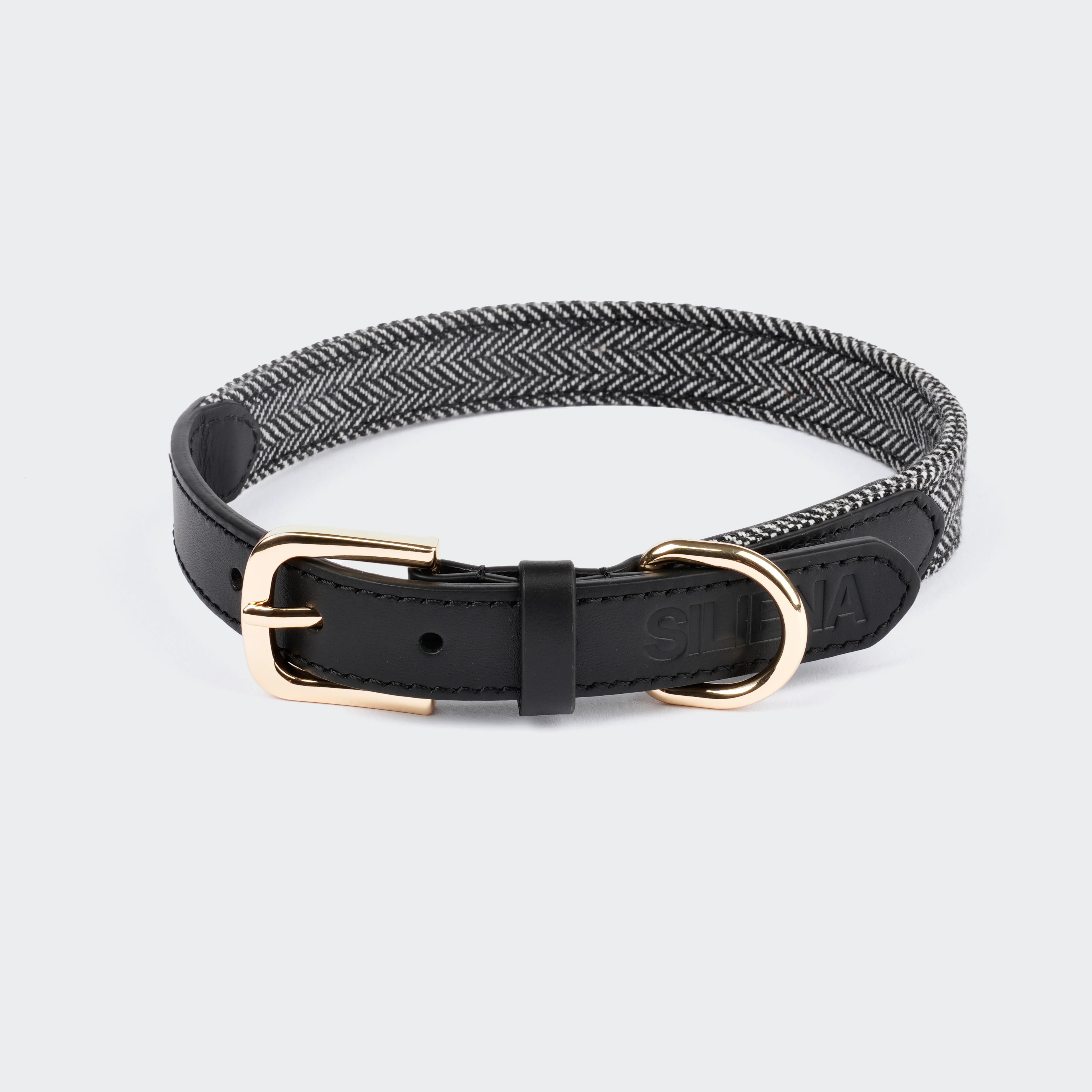 Schwarzes Hundehalsband mit Fischgrätmuster und goldener Schnalle, von oben fotografiert.