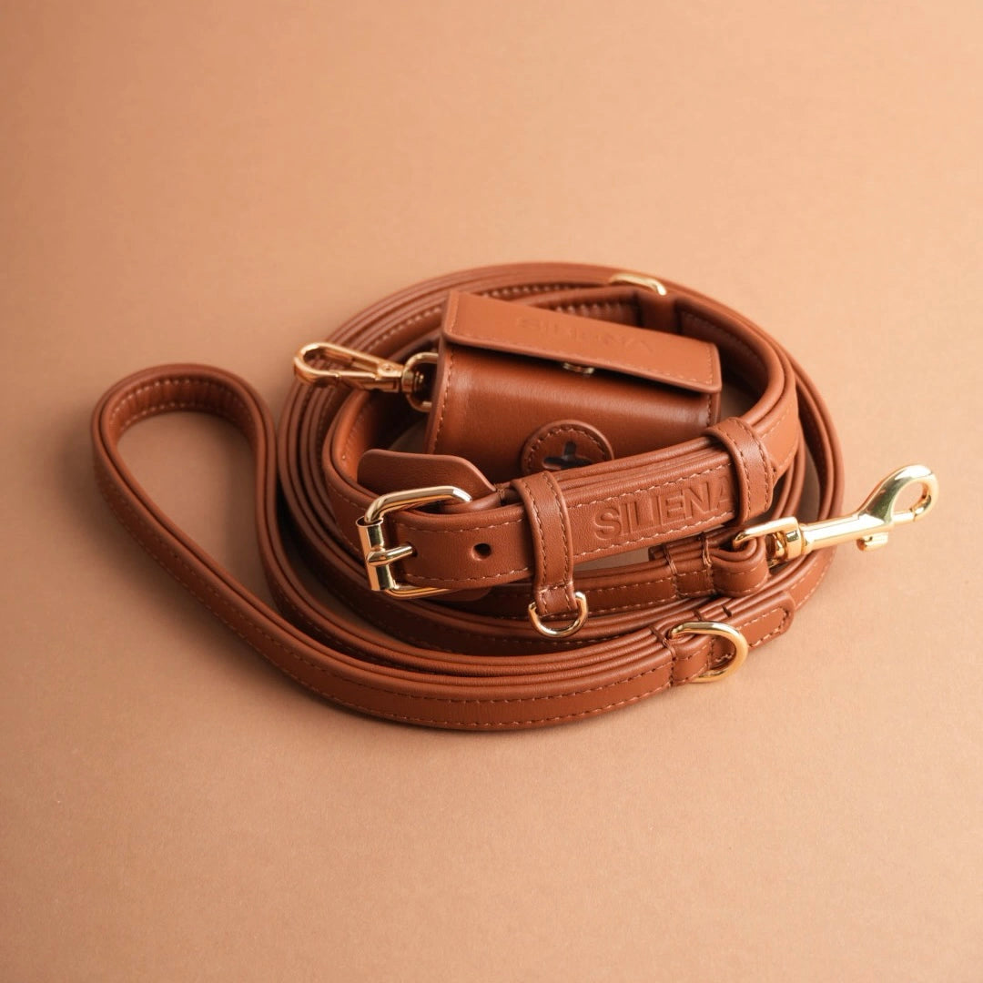 Edles Hundeset in Braun bestehend aus Leine, Halsband und Kotbeutelspender, aus Leder mit goldener Hardware.