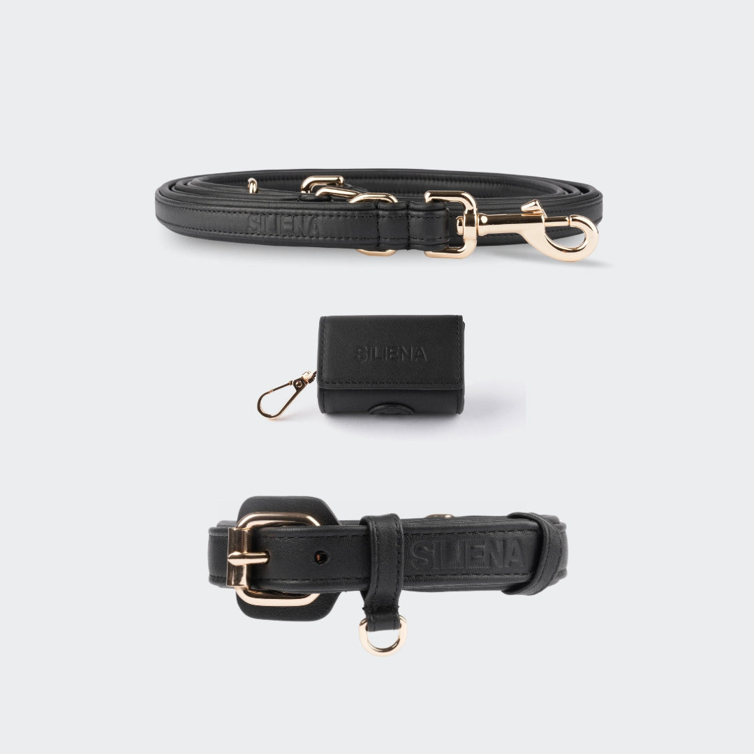 Set aus schwarzem Hundehalsband, verstellbarer Hundeleine und Kotbeutelspender aus Leder, alles mit goldenen Beschlägen und SILIENA Logo.