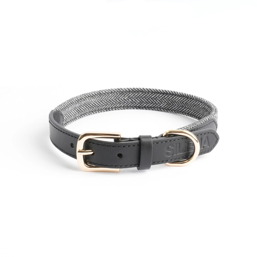 Hundehalsband aus schwarzem Echtleder mit goldfarbener Schnalle und D-Ring; Außenseite mit grauem Fischgrätstoff verziert, SILENA-Logo eingeprägt