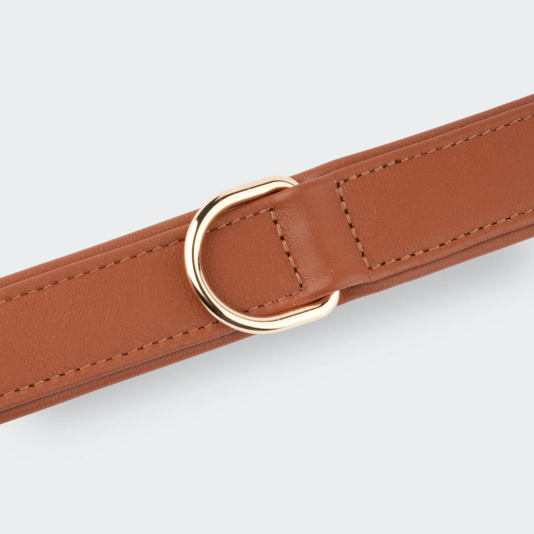 Detailansicht des goldenen D-Rings am braunen Hundehalsband von Siliena.