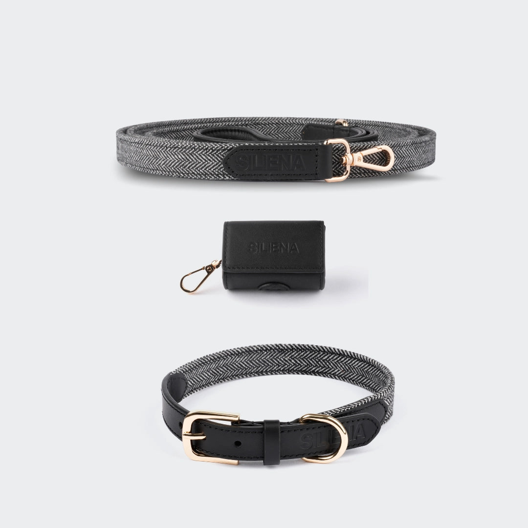 Set bestehend aus Hundeleine, Kotbeutelspender und Halsband in Schwarz.